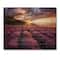 Designart - Sunrise & Dramatic Clouds Over Lavender Field IV - Farmhouse Print on Natural Pine Wood